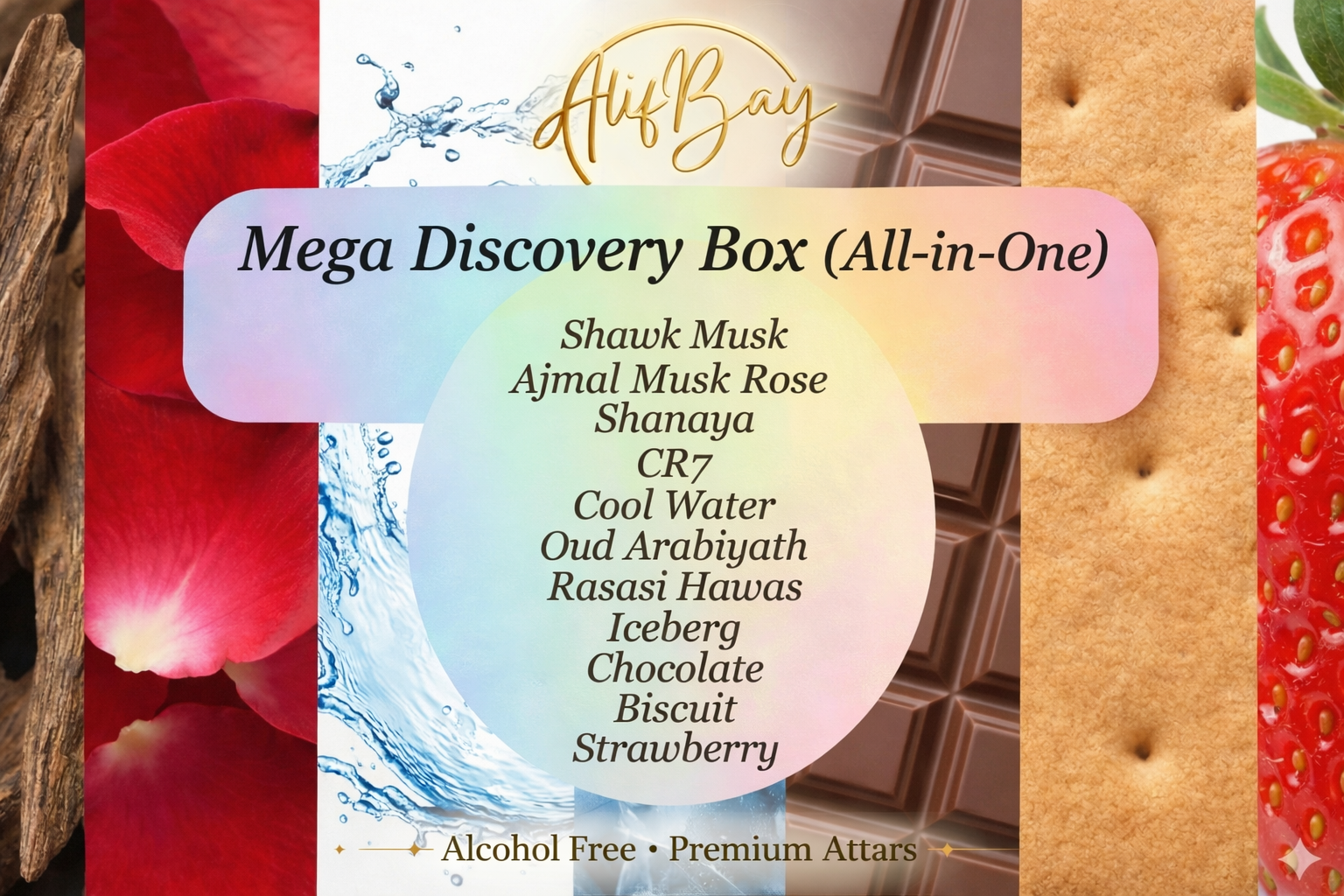 Mega Discovery Box All-in-One